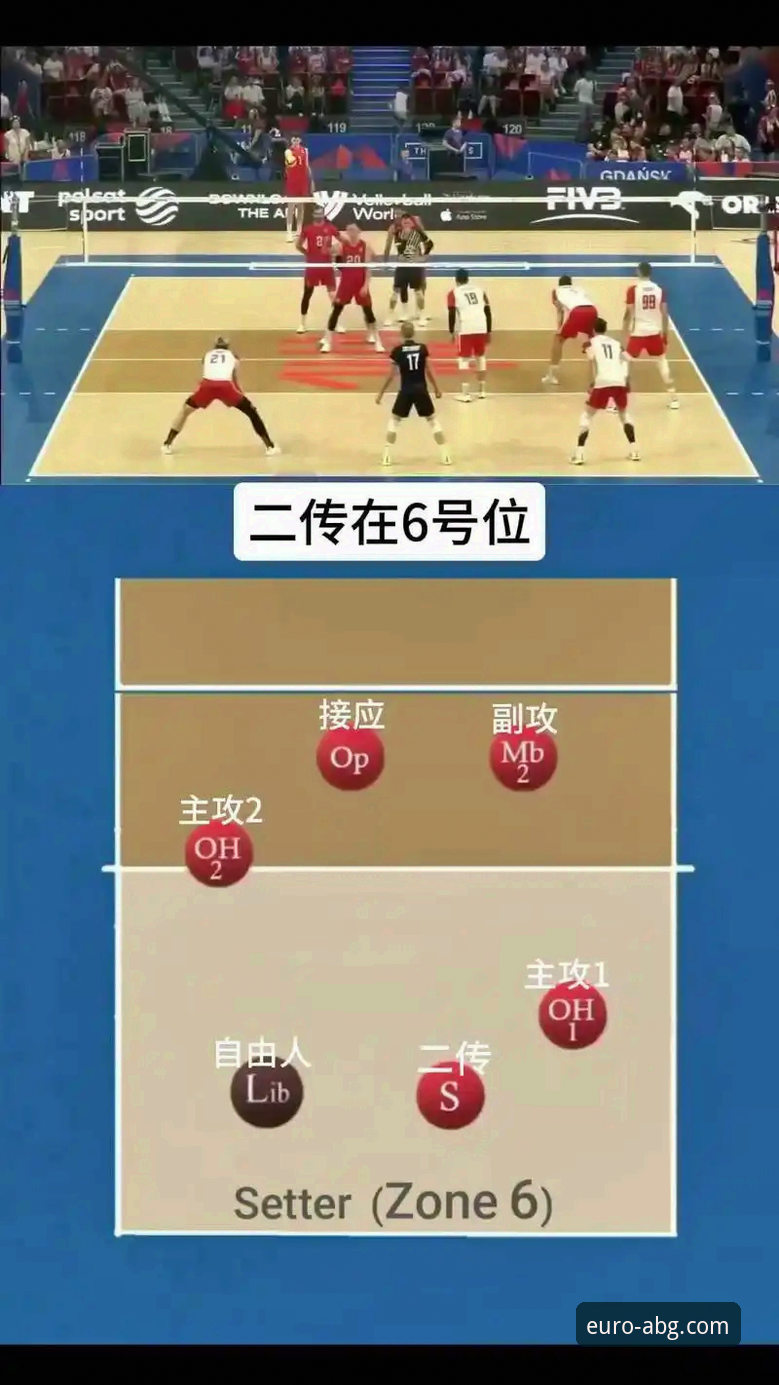 如何像资深球迷一样，通过专业平台洞察CBA连胜背后的战术细节？